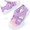 Pink Purple